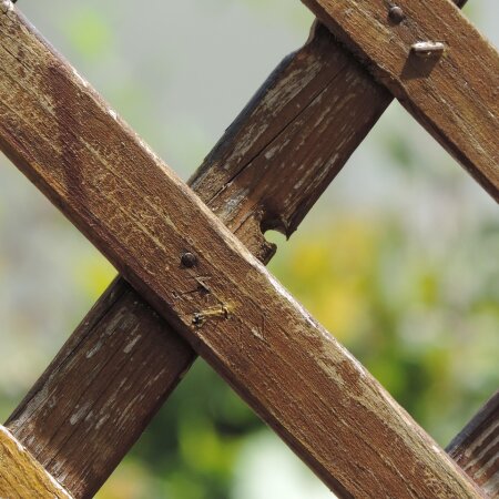Gartenzaun streichen: Anleitung für lange Freude - Gartenzaun streichen: Die Anleitung