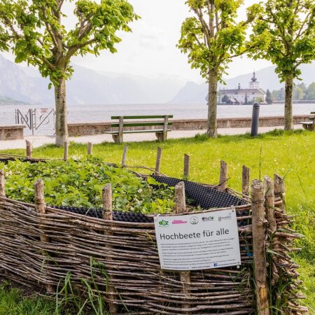 Hochbeet bauen & schützen: Holz richtig pflegen - Hochbeet bauen & Holz schützen