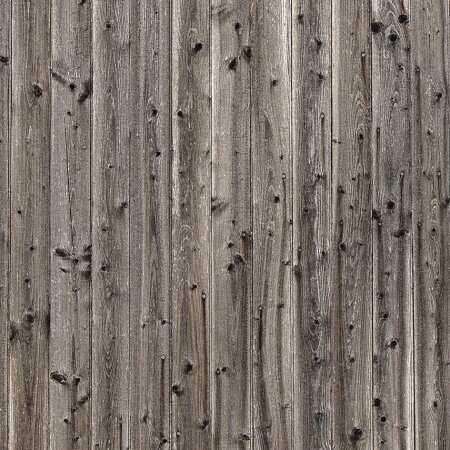 Holzwurm & Co.: Holz vor Schädlingen schützen - Holzwurm & Co.: Holz richtig schützen