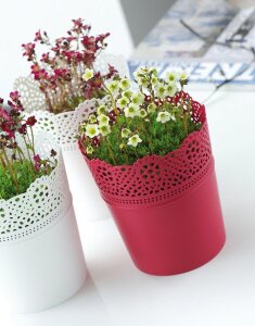 Blumentopf LUZIA Mintgrün 11 cm Pflanztopf Übertopf Kunststoff rund bunt