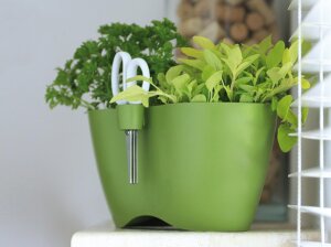 Kräutertopf MEDRA DOBLO + Schere für Kräuter 25 x 15 cm Weiß Blumentopf Doppel