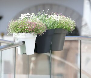 Balkonkasten ALTEA weiß oval Geländertopf Blumenkasten