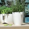 Kräutertopf MEDRA + Schere für Kräuter 13 cm Anthrazit Pflanztopf Blumentopf rund
