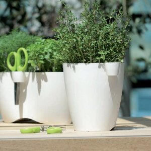 Kräutertopf MEDRA + Schere für Kräuter 13 cm Weiß Pflanztopf Blumentopf rund