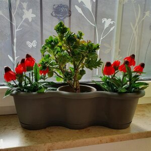 Blumenkasten PEGO Blumentopf lang dreifach 3 Pflanzen Blumenschale Pflanztopf Kräutertopf terrakotta