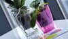 Orchideentopf CULTIVA Rund transparent Violett 16 cm Blumentopf Übertopf Kunststoff