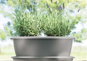 Blumenkasten OLIVA 40 cm Balkonkasten Geländerkasten Pflanzkasten anthrazit