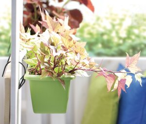 Blumenkasten OLIVA 40 cm Balkonkasten Geländerkasten Pflanzkasten anthrazit