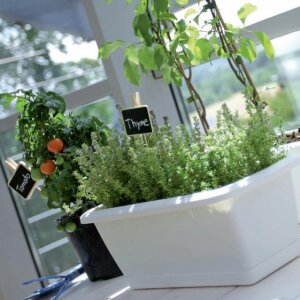 Set Blumenkasten ALZIRA + Untersetzer 40 cm terrakotta Balkonkasten Pflanzkasten