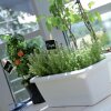 Set Blumenkasten ALZIRA + Untersetzer 90 cm anthrazit Balkonkasten Pflanzkasten