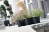 Blumenkasten PEGO Blumentopf lang dreifach 3 Pflanzen Blumenschale Kräutertopf