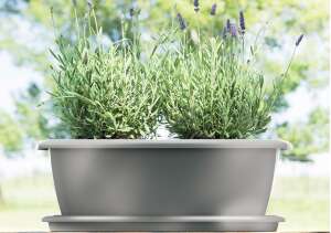 Blumenkasten OLIVA 40 50 60 cm Balkonkasten Geländerkasten Pflanzkasten bunt