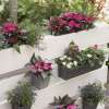 Geli EASY Pflanzgefäß für Europaletten Pflanztopf Rosa Blumentopf 10x14 cm