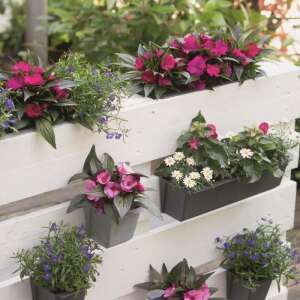 Geli EASY Pflanzgefäß für Europaletten Pflanztopf Rosa Blumentopf 37 x 14 cm