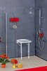 ALBERTS Duschsitz Polstersitz Klappsitz Bad Dusche Wandbefestigung 380x370 mm