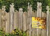 Werbeschild HONIG aus eigener Imkerei A3 (42x30 cm) Imker Werbung Schild Bienen