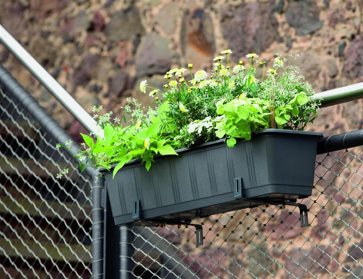 Jetzt AQUA Green Plus Blumenkasten - Fr einen blhenden Balkon!, 9,97