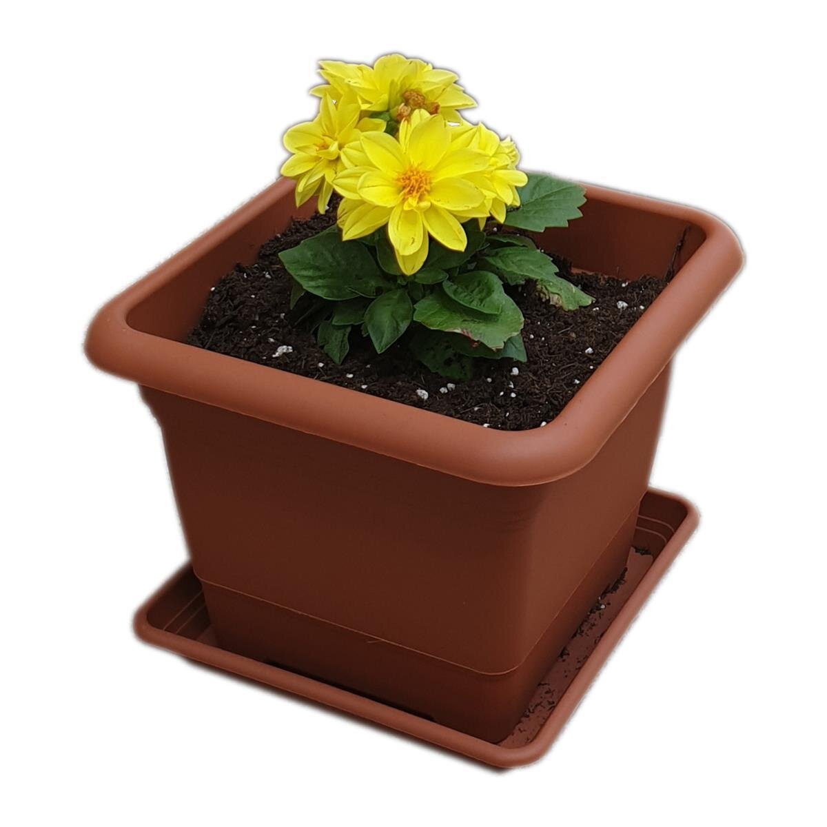 graue blumenkästen für balkon JARDI 50 Anthrazit – Balkonkasten 50x17x17 cm 8 kg Naturschiefer Schwa –  CLIMAQUA