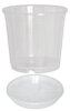 Geli Set Orchideentopf Ø 12 cm inkl. Untersetzer Ø 12 cm Kunststoff Transparent