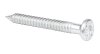 250x ALBERTS Ankernagel Kammnagel Rillennagel Ringnagel Stahl verzinkt Ø 4x40 mm