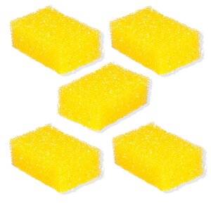 5x Insektenschwamm Fliegenschwamm HART Reinigungsschwamm...