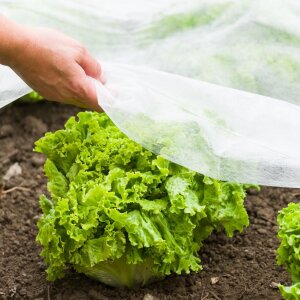 Windhager Gartenvlies Wachstumsvlies Abdeckung Schutzfolie 10x1,5 m Frostschutz