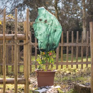 3x Windhager Vlieshaube Pflanzenhaube Schutzvlies Winter 75x100 cm Rosenvlies