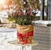 Windhager Thermovlies Jutematte Schutzvlies Winter für Pflanztöpfe 150x38 cm