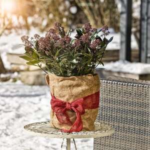 Windhager Thermovlies Jutematte Schutzvlies Winter...