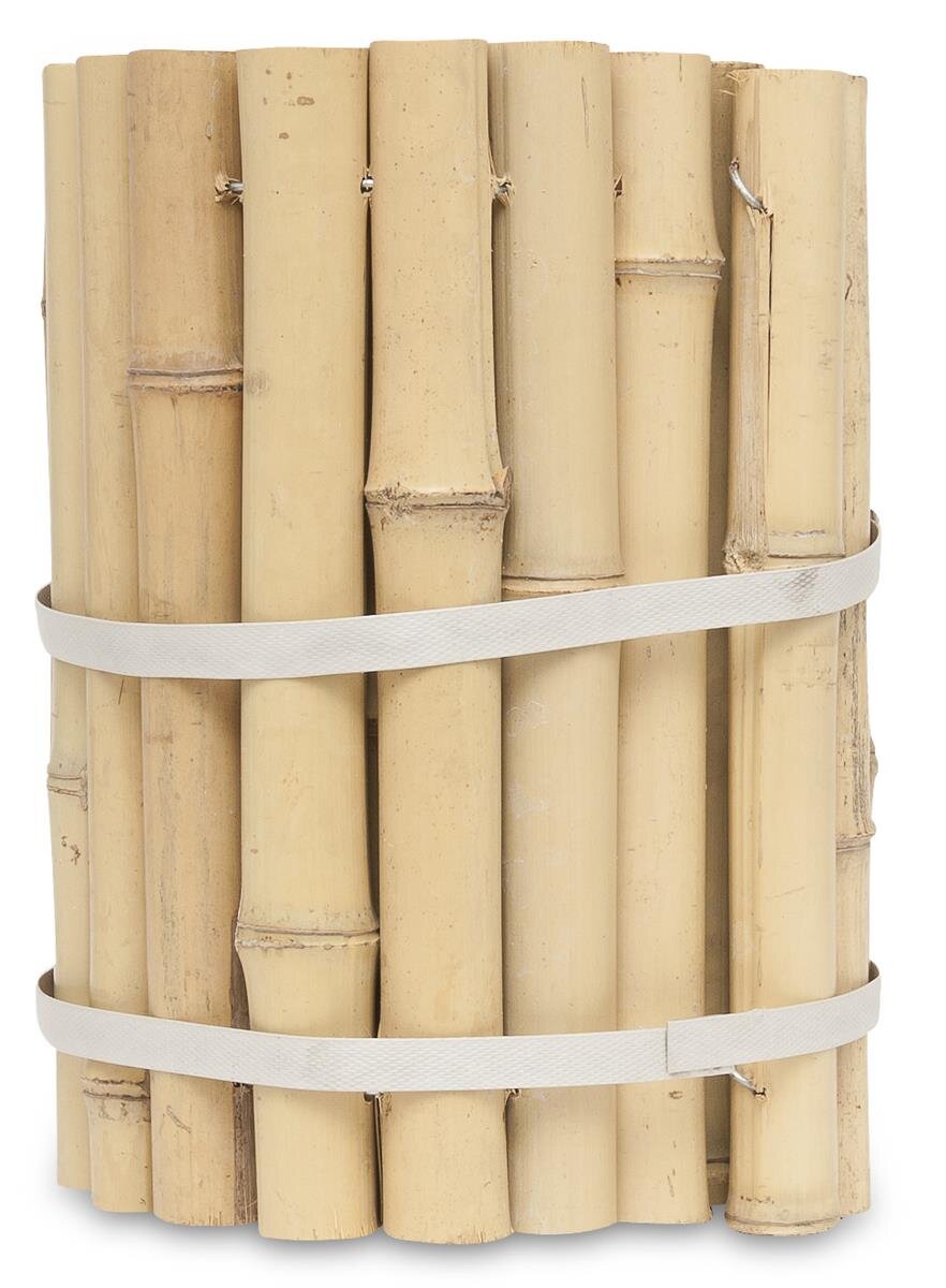 cactus spine osrs RARE Paper Spine Cactus: Unique Cool Cactus Decor main image 1