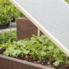 Windhager Gitterfolie Gewächshausfolie Abdeckfolie Wetterschutz Universal 6x2 m