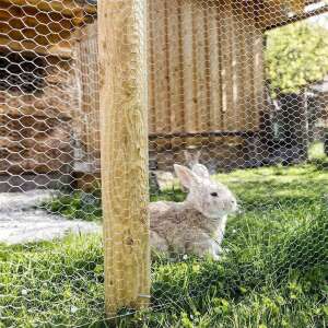 Windhager Maschendrahtzaun 2,5x0,5 m Sechseckgeflecht...