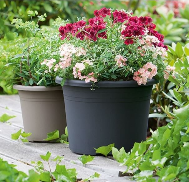 blumenkasten 60 cm Blumenkasten / Balkonkasten mit Wasserspeicher ca. 60 cm aus hochwerti – La  Casa main image 0