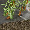 Windhager Unkrautvlies Gartenvlies Abdeckvlies Wurzelsperre 10x1 m Erdölfrei