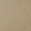 Windhager Vlieshaube XXXL Pflanzenhaube Schutzvlies Winter 390x350 cm beige