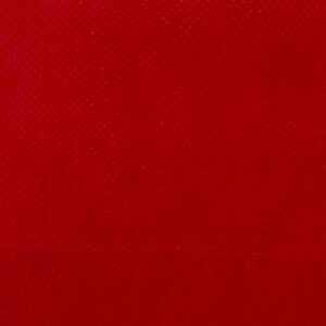 Windhager Vliesmantel Thermovlies Pflanzenvlies Schutz Winter Kälte 10x1,6 m rot