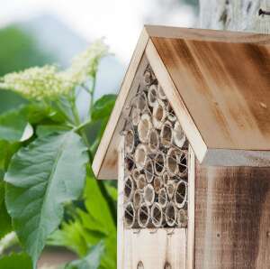 Windhager Insektenhotel Zur Post Insektenhaus Bienenhotel Brutplatz Schutz Holz