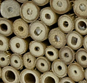 Windhager Insektenhotel Zur Post Insektenhaus Bienenhotel Brutplatz Schutz Holz