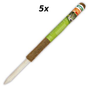 5x Windhager Pflanzstab Pflanzenstütze Kokosfaser Rankhilfe Rankstab Natur 60 cm