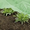 Windhager Gartenvlies Wachstumsvlies Abdeckung Schutzfolie Supergrow alle Größen