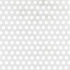 ALBERTS Lochblech Aluminium silberfarbig eloxiert 1000x200x0,8 mm
