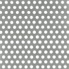 ALBERTS Lochblech Aluminium silberfarbig eloxiert 1000x200x0,8 mm