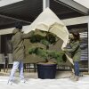 Windhager Vlieshaube XXL Pflanzenhaube Schutzvlies Winter alle Größen