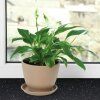 d-c-fix Klebefolie Black Granite Schwarz Möbelfolie Selbstklebend Dekor 200 x 45 cm