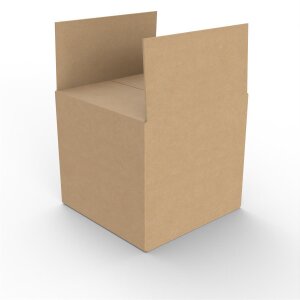 50x Versandkarton Verpacken Faltkarton Innenmaß 200x200x220 mm zweiwellig