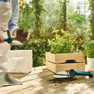 Pflanzkelle schmal Gartenschaufel Gärtnerwerkzeug Ein-/Umpflanzen Beete pflegen