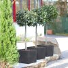 Geli Pflanztopf Kubus quadrat 30x30x26 cm anthrazit Pflanzkübel Pflanzgefäß