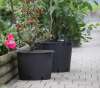Geli Pflanzcontainer 30 Liter ⌀ 40 cm schwarz Kübel