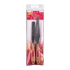 Talens Art Creation Malmesser Set mit 2 Malmessern  ideal für Spachteltechniken