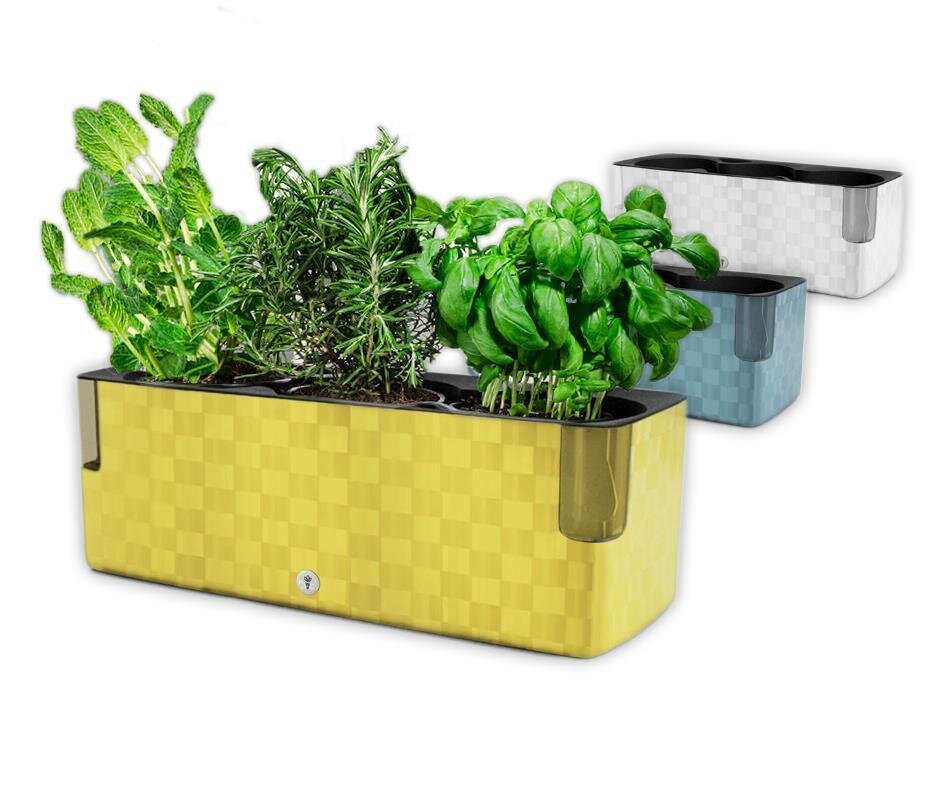 Cobble Trio: Dein Krutertopf mit Top-Bewsserung!, 8,97